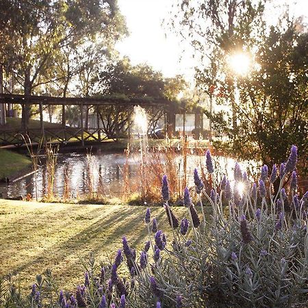 פוקולבין Hunter Valley Resort, Hunter Farm Adventure Centre & 4 Pines At The Farm מראה חיצוני תמונה