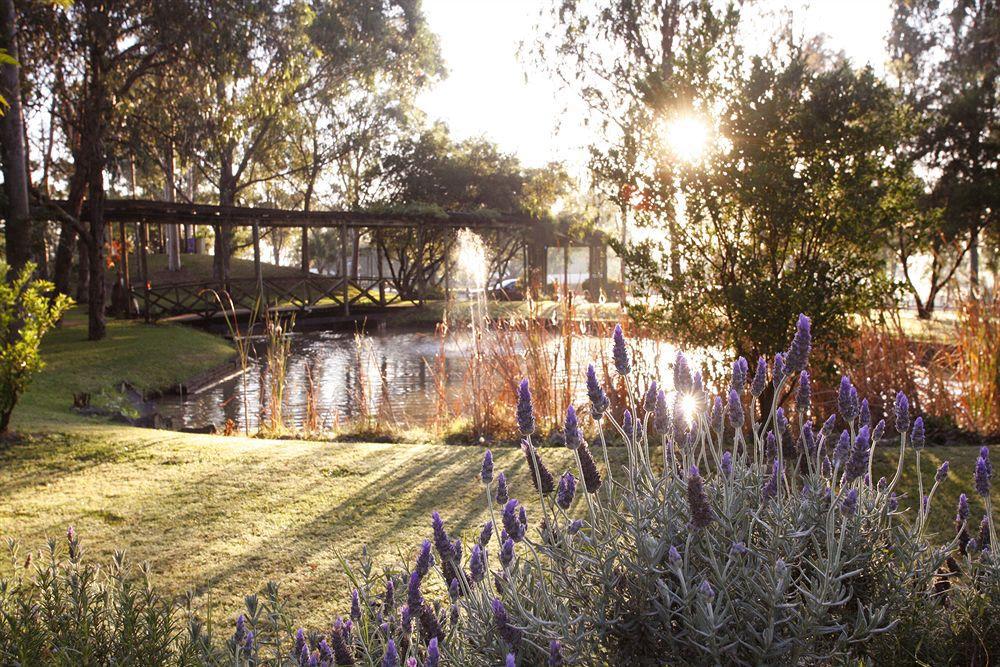 פוקולבין Hunter Valley Resort, Hunter Farm Adventure Centre & 4 Pines At The Farm מראה חיצוני תמונה