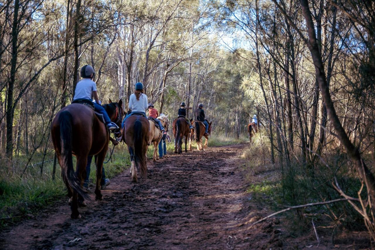 פוקולבין Hunter Valley Resort, Hunter Farm Adventure Centre & 4 Pines At The Farm מראה חיצוני תמונה