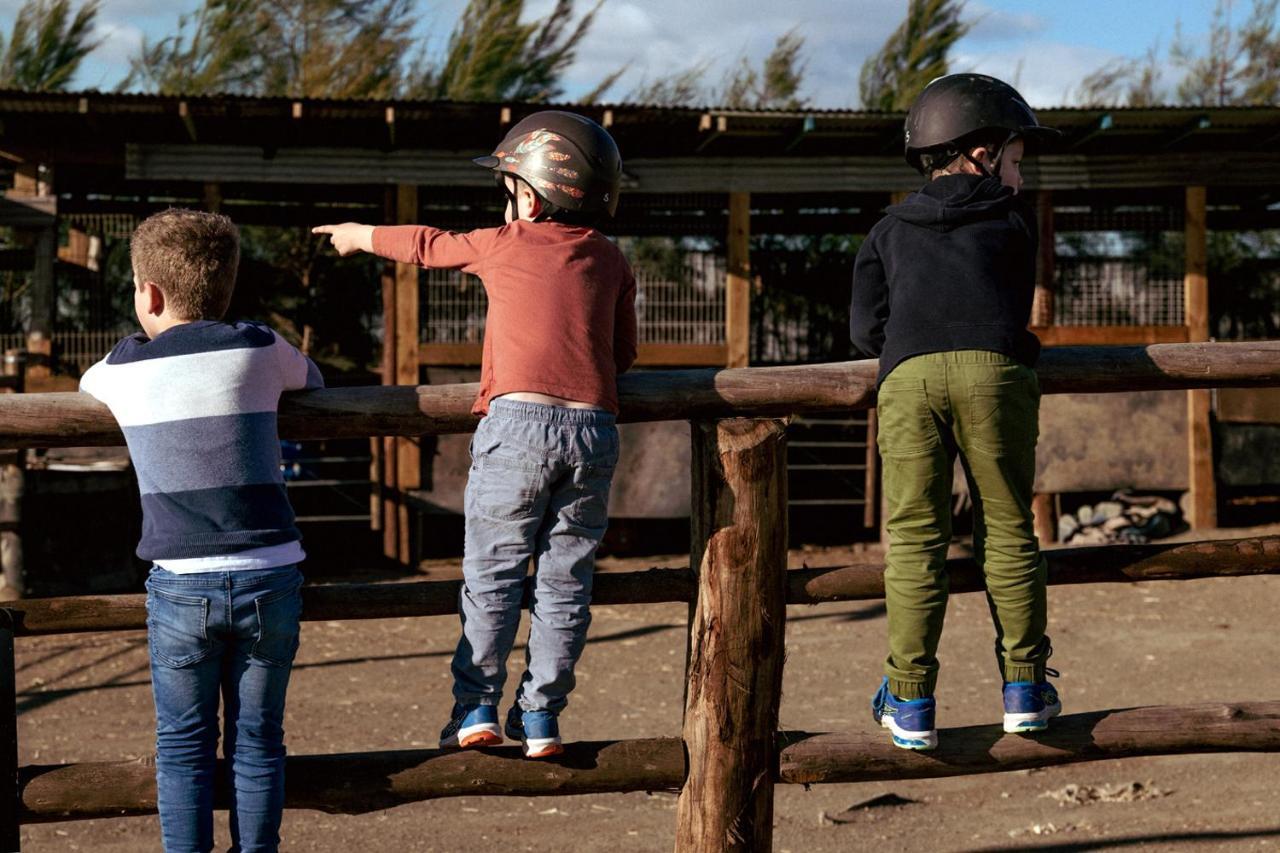 פוקולבין Hunter Valley Resort, Hunter Farm Adventure Centre & 4 Pines At The Farm מראה חיצוני תמונה