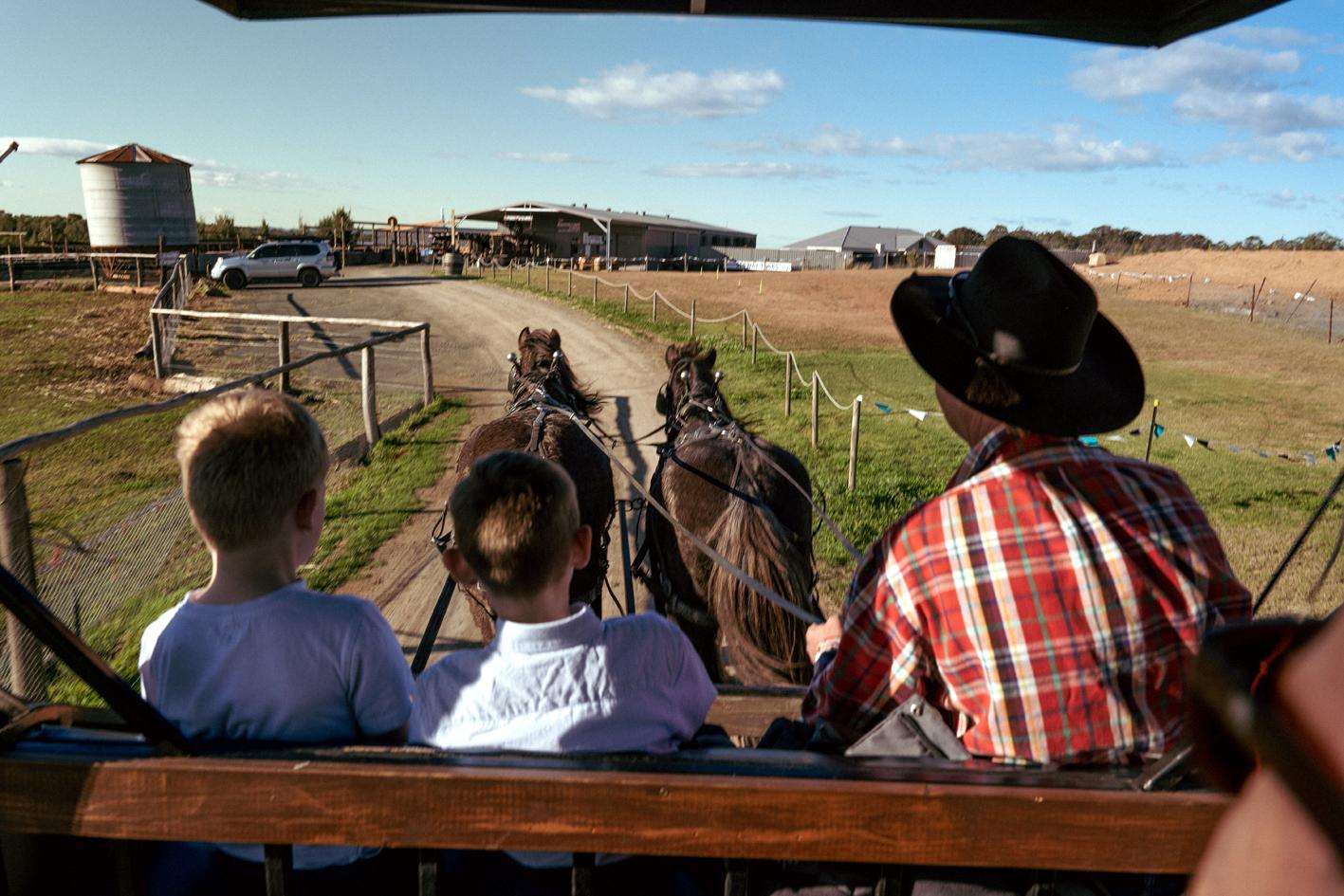 פוקולבין Hunter Valley Resort, Hunter Farm Adventure Centre & 4 Pines At The Farm מראה חיצוני תמונה