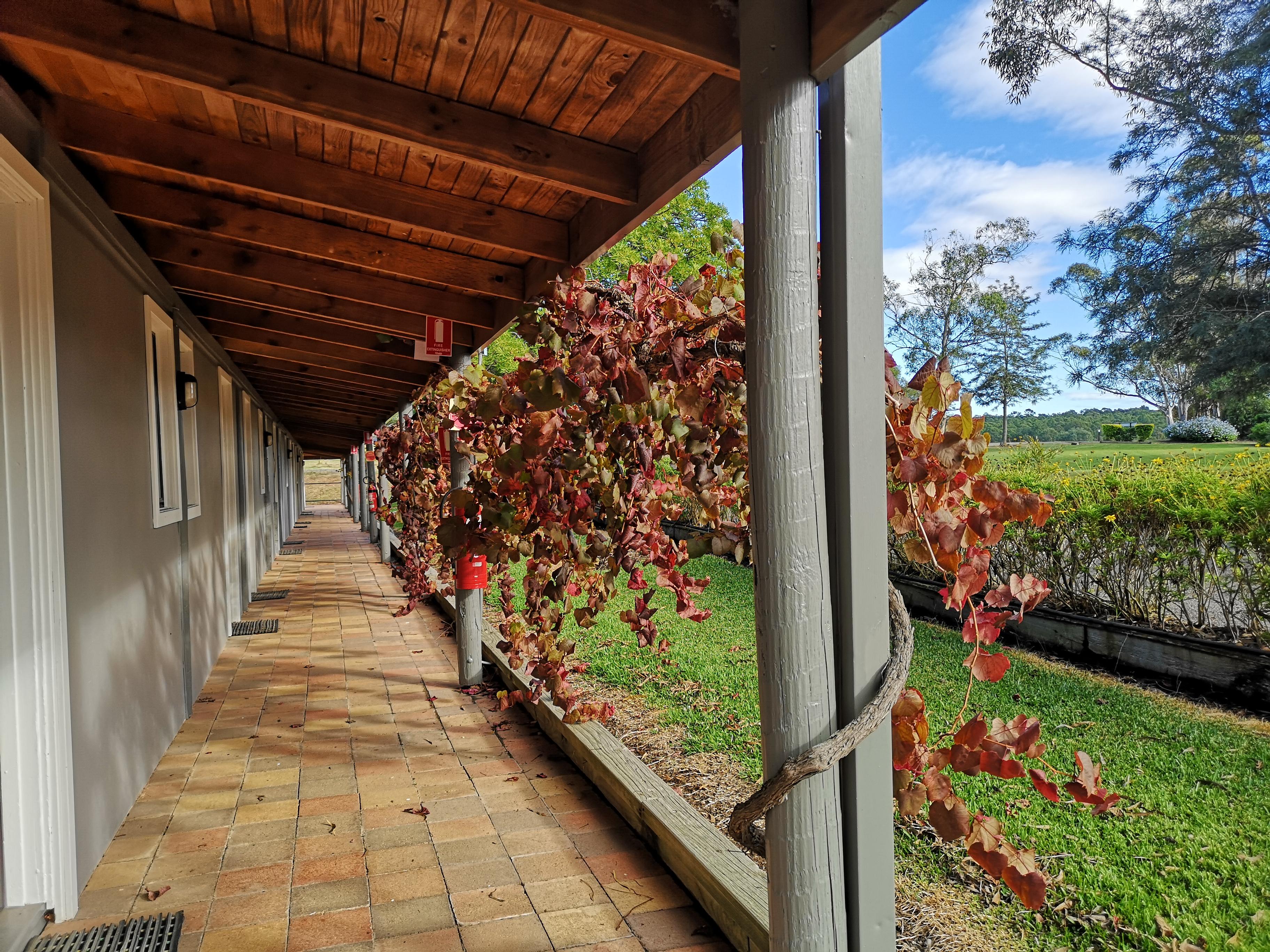 פוקולבין Hunter Valley Resort, Hunter Farm Adventure Centre & 4 Pines At The Farm מראה חיצוני תמונה